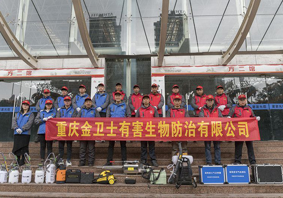 散白蟻侵害現(xiàn)代建筑，如何有效進行白蟻防治處理