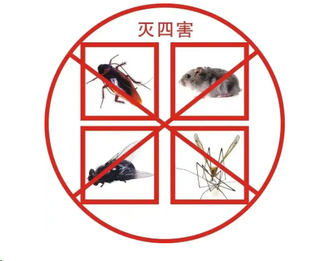 重慶專(zhuān)業(yè)白蟻防治中心